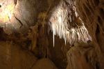 PICTURES/Mitchell Caverns/t_DSC00699.JPG